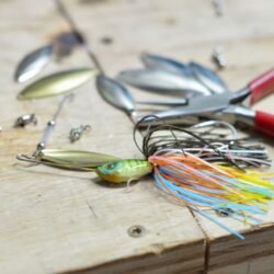 Spinnerbaits